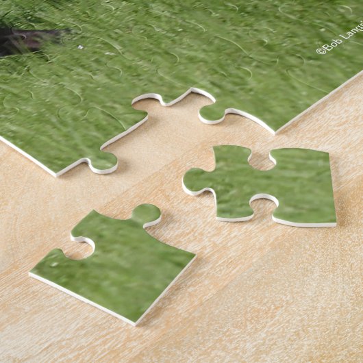 Bob Langrish | Mangalarga Rainbow Puzzle (Seite)