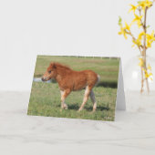 Bob Langrish | Miniatur Foal Walking Karte (Gelbe Blume)