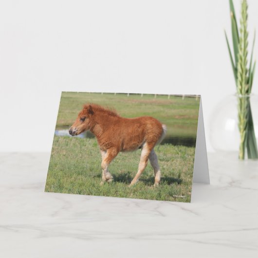 Bob Langrish | Miniatur Foal Walking Karte (Vorderseite)