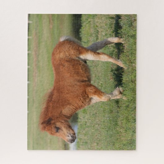 Bob Langrish | Miniatur Foal Walking Puzzle (Vertikal)