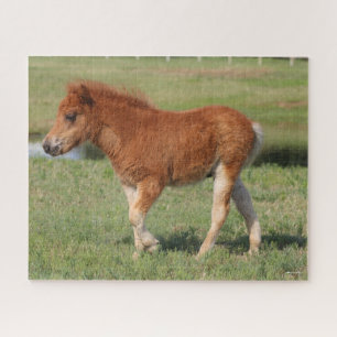 Bob Langrish   Miniatur Foal Walking Puzzle