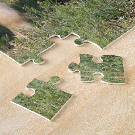 Bob Langrish | Miniatur Foal Walking Puzzle (Seite)