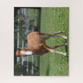Bob Langrish | Miniatur Pony Foal Walking Puzzle (Vertikal)