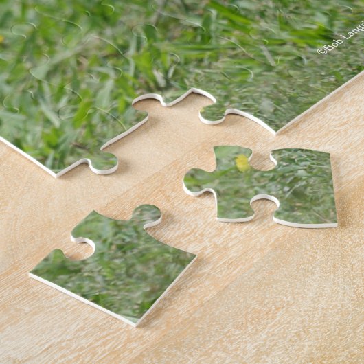 Bob Langrish | Miniatur Pony Foal Walking Puzzle (Seite)