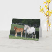 Bob Langrish Miniature Pony Mare und Foal Stehend Karte (Gelbe Blume)