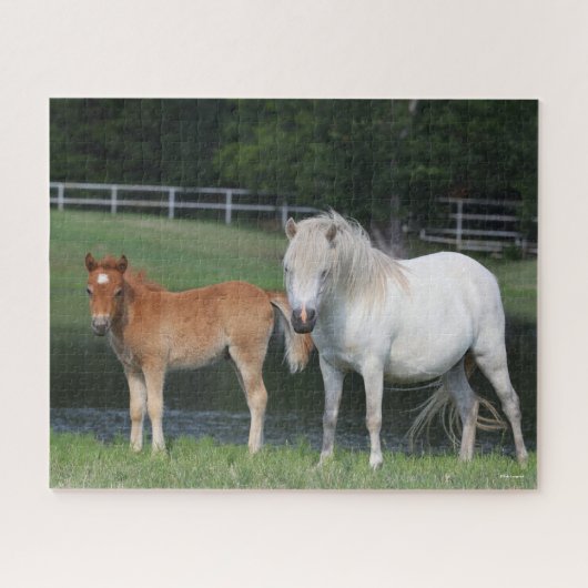 Bob Langrish Miniature Pony Mare und Foal Stehend Puzzle (Horizontal)