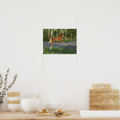 Bob Langrish | Morgan Foal Leaping mit Bluebells Poster (Küche)