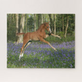 Bob Langrish | Morgan Foal Leaping mit Bluebells Puzzle (Horizontal)