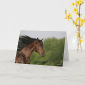 Bob Langrish | Morgan Horse Headshot Mane Karte (Gelbe Blume)