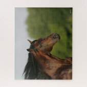 Bob Langrish | Morgan Horse Headshot Mane Puzzle (Vertikal)