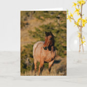 Bob Langrish | Mustang Horse Stehend Karte (Gelbe Blume)