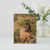 Bob Langrish | Mustang Horse Stehend Postkarte (Stehend Vorderseite)