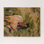 Bob Langrish | Mustang Horse Stehend Puzzle (Horizontal)