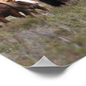 Bob Langrish | Neue Waldschachteln und Fohlen Poster (Ecke)