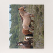 Bob Langrish | Neue Waldschachteln und Fohlen Puzzle (Vertikal)