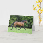 Bob Langrish | New Forest Pony Stallion Karte (Gelbe Blume)