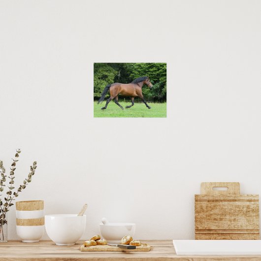 Bob Langrish | New Forest Pony Stallion Poster (Küche)