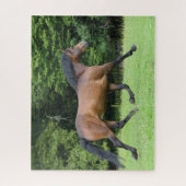 Bob Langrish | New Forest Pony Stallion Puzzle (Vertikal)