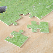 Bob Langrish | New Forest Pony Stallion Puzzle (Seite)