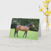 Bob Langrish | New Forest Pony Stehend Karte (Gelbe Blume)