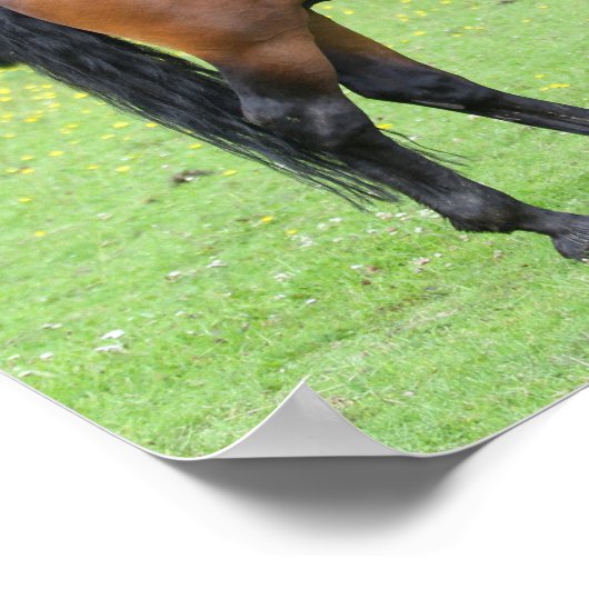 Bob Langrish | New Forest Pony Stehend Poster (Ecke)