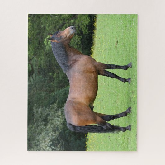 Bob Langrish | New Forest Pony Stehend Puzzle (Vertikal)