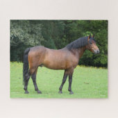 Bob Langrish | New Forest Pony Stehend Puzzle (Horizontal)