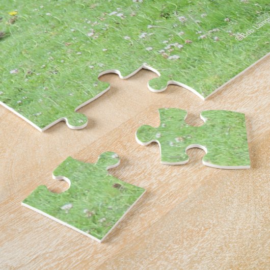 Bob Langrish | New Forest Pony Stehend Puzzle (Seite)