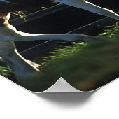 Bob Langrish | Paint Horning Walking Backlit Herbs Poster (Ecke)