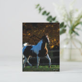 Bob Langrish | Paint Horning Walking Backlit Herbs Postkarte (Stehend Vorderseite)