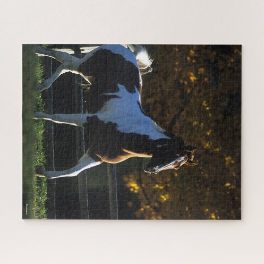 Bob Langrish | Paint Horning Walking Backlit Herbs Puzzle (Horizontal)