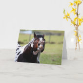 Bob Langrish | Paint Horse Hallion Flehmen Karte (Gelbe Blume)