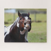 Bob Langrish | Paint Horse Hallion Flehmen Puzzle (Horizontal)