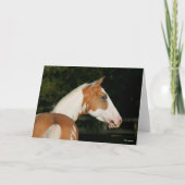 Bob Langrish | Paint Horse Headshot Karte (Vorderseite)