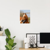 Bob Langrish | Paint Horse Headshot Poster (Heimbüro)