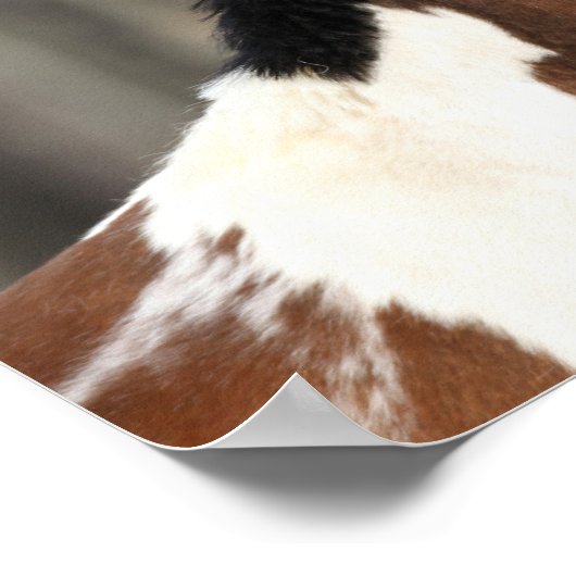 Bob Langrish | Paint Horse Headshot Poster (Ecke)