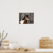Bob Langrish | Paint Horse Headshot Poster (Küche)