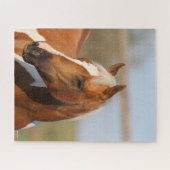 Bob Langrish | Paint Horse Headshot Puzzle (Horizontal)