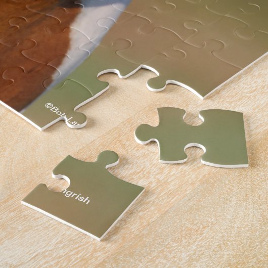 Bob Langrish | Paint Horse Headshot Puzzle (Seite)