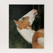 Bob Langrish | Paint Horse Headshot Puzzle (Vertikal)