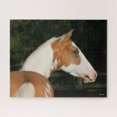 Bob Langrish | Paint Horse Headshot Puzzle (Horizontal)