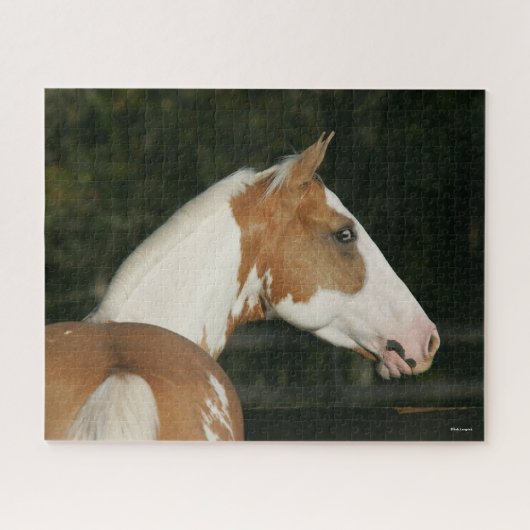 Bob Langrish | Paint Horse Headshot Puzzle (Horizontal)