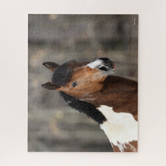 Bob Langrish | Paint Horse Headshot Puzzle (Vertikal)