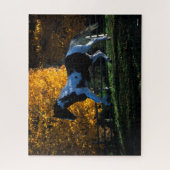 Bob Langrish | Paint Horse Running Herbst Puzzle (Vertikal)
