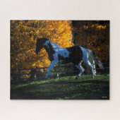 Bob Langrish | Paint Horse Running Herbst Puzzle (Horizontal)