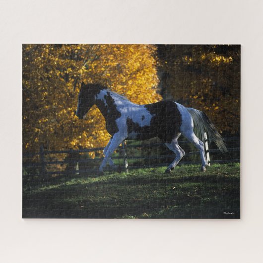 Bob Langrish | Paint Horse Running Herbst Puzzle (Horizontal)