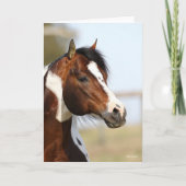 Bob Langrish | Paint Horse Stallion Headshot Karte (Vorderseite)