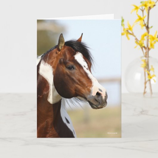 Bob Langrish | Paint Horse Stallion Headshot Karte (Gelbe Blume)