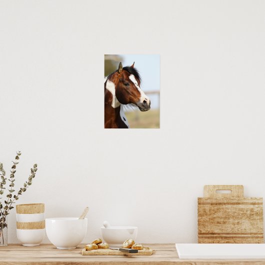 Bob Langrish | Paint Horse Stallion headshot Poster (Küche)