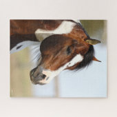 Bob Langrish | Paint Horse Stallion Headshot Puzzle (Horizontal)